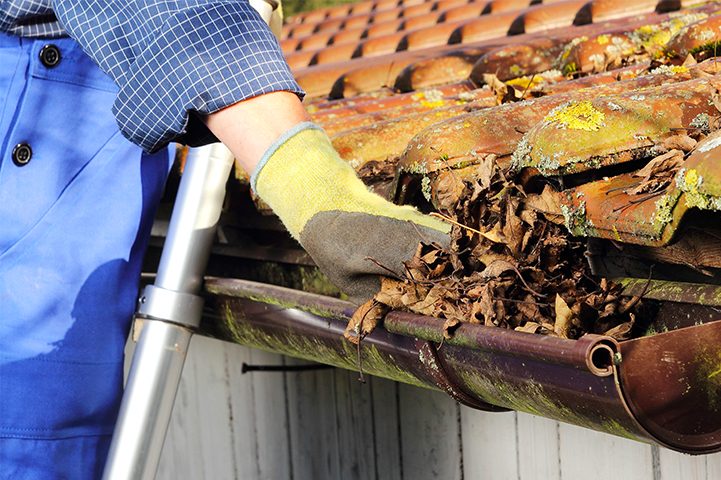 Gutter cleaning