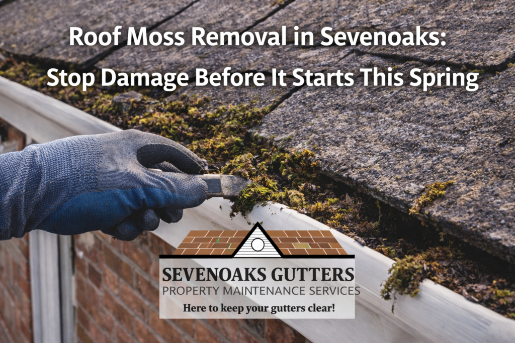 Moss removal on roof in Sevenoaks